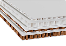 Cardboard