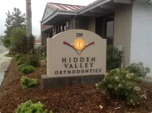 Professional & Medical Services